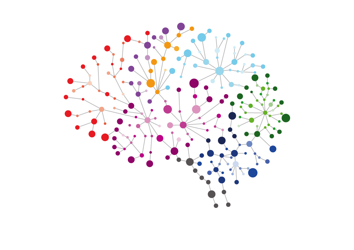Cerveau.png