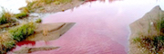 physico_chimie 180x60 .jpg